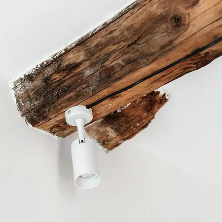 Caesar - The House Of Travelers Konukevi 3*