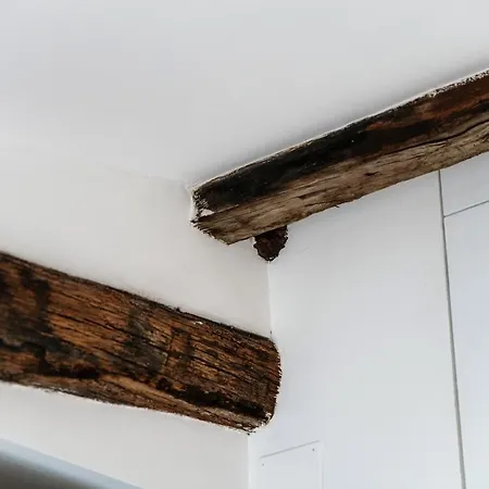 Caesar - The House Of Travelers 3*